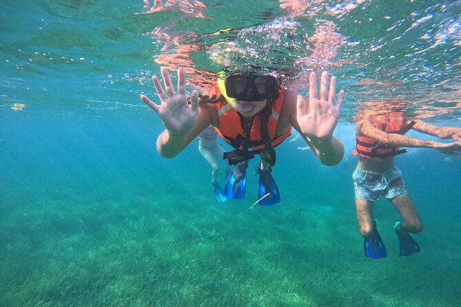 Snorkel at the Reef 2 HOURS Puerto Morelos National park - Coral, turtles, rays, and open-water surprises