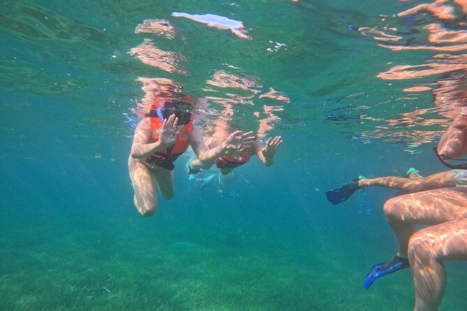 Snorkel at the Reef 2 HOURS Puerto Morelos National park - A practical choice for families and beginners