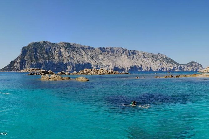 Snorkeling marine protected area Tavolara - Meeting the boat at Golfo Aranci