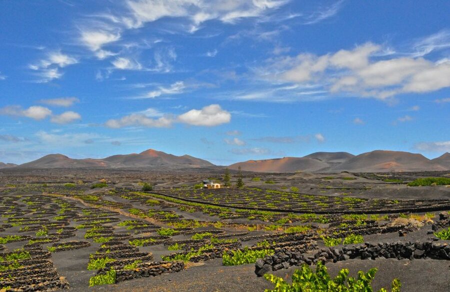 South Tour: Timanfaya National Park - The route begins with a long ride south