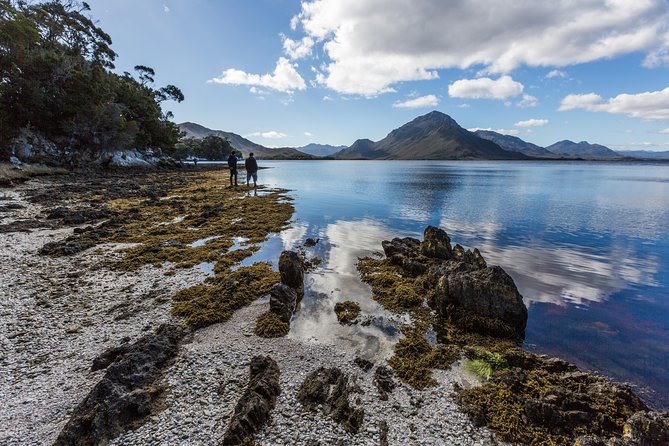 Southwest Tasmania Wilderness Experience: Fly Cruise and Walk Including Lunch - Who should book this experience?