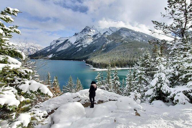 Spectacular Banff Day - Gondola Included - Banff Gondola: the day’s big view