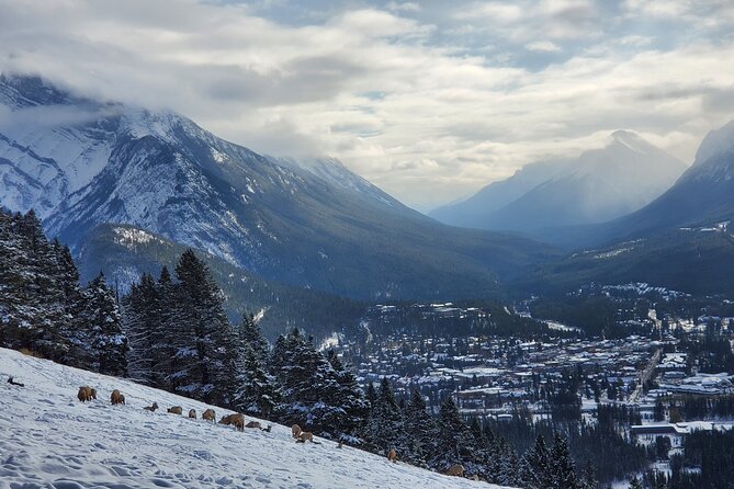 Spectacular Banff Day - Gondola Included - Banff Avenue: 90 minutes for lunch and town time