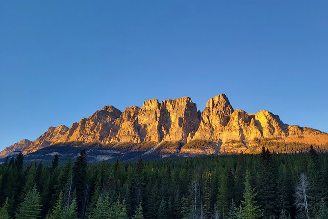 Spectacular Banff Day - Gondola Included - Lake Louise: the classic blue-water stop