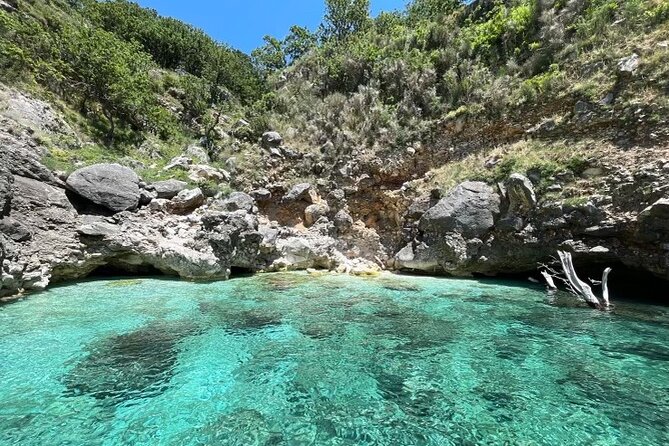 Speed Boat Tour to National Park and Grama Bay - Guides, languages, and the feel on board