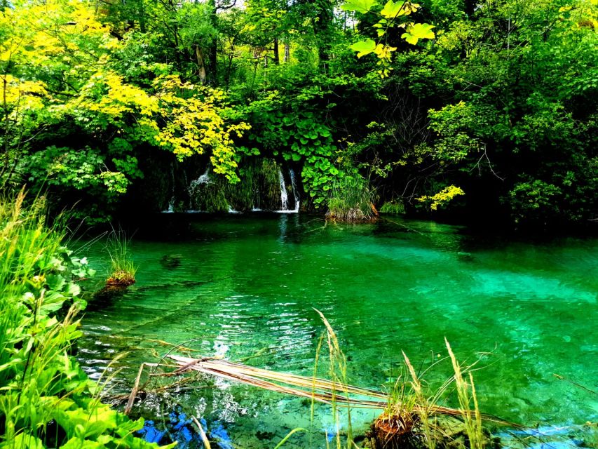 Split: Plitvice Lakes Guided Day Tour with Entry Tickets - What the $116 price covers