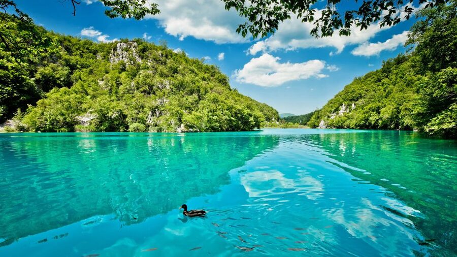 Split: Transfer to Zagreb with Plitvice Lakes Entry Tickets - What the walking is really like