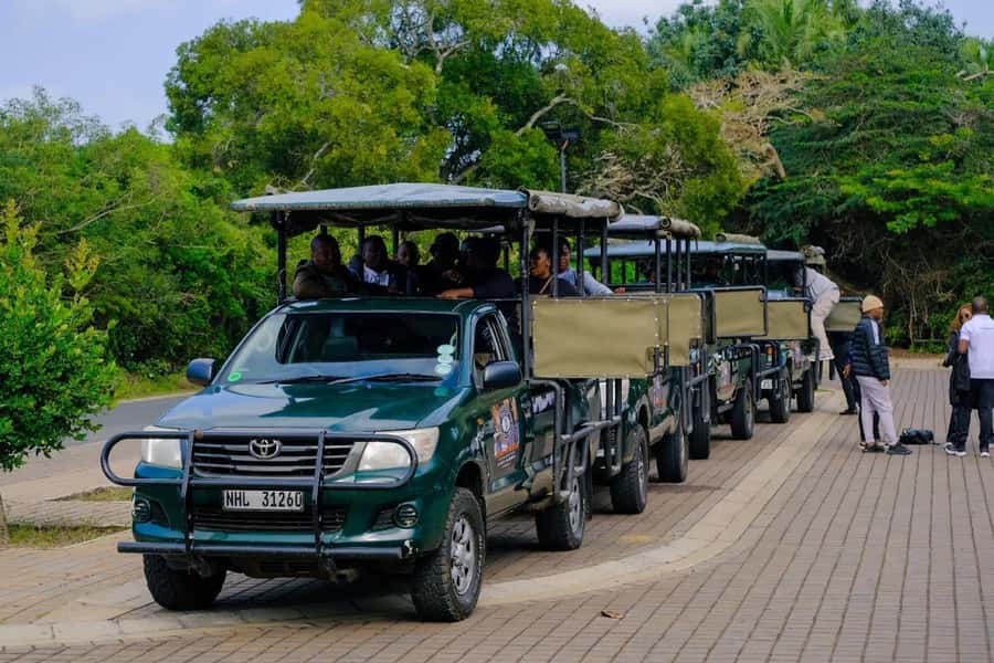 St Lucia: iSimangaliso Wetland Park: Full-Day/Half-Day Tour - How much the ranger shapes the day