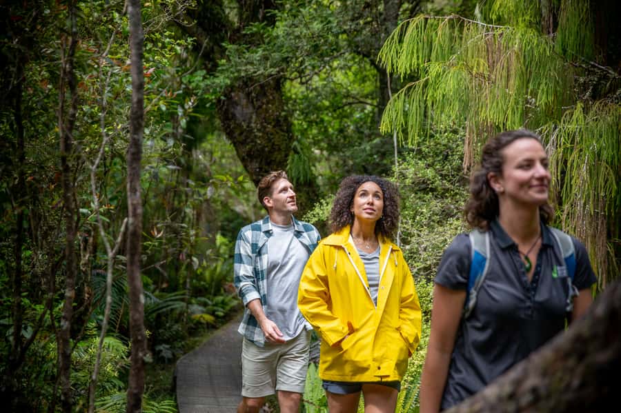 Stewart Island: Ulva Island Guided Wilderness Walk & Cruise - Who should book this Stewart Island outing?