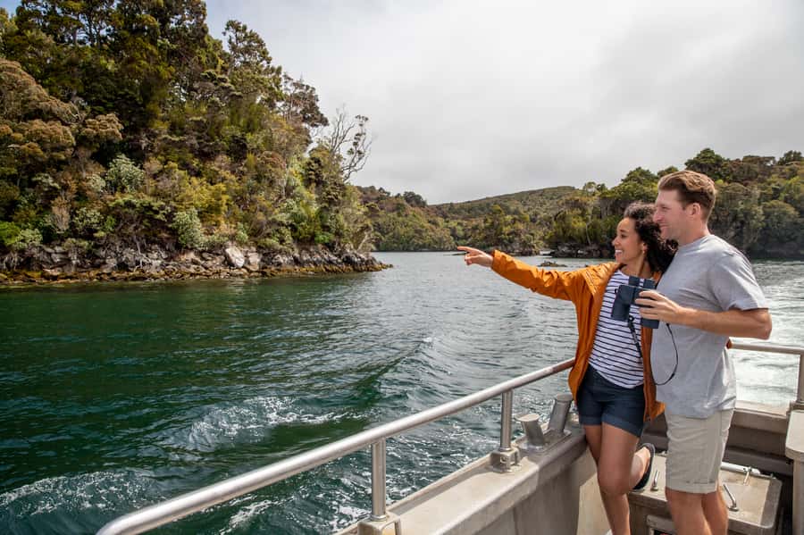 Stewart Island: Ulva Island Guided Wilderness Walk & Cruise - Why Ulva Island is the main event