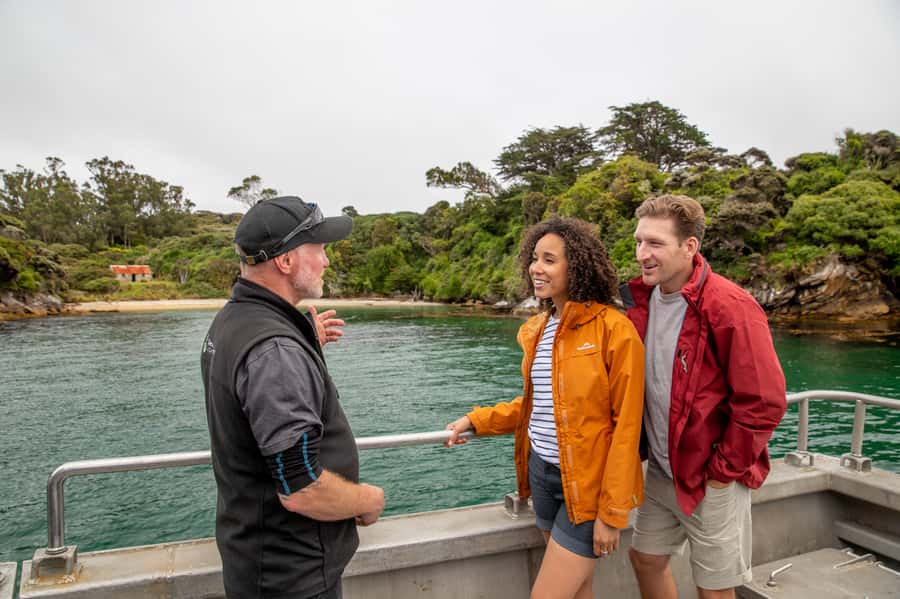 Stewart Island: Ulva Island Guided Wilderness Walk & Cruise - The guided walk on Ulva Island