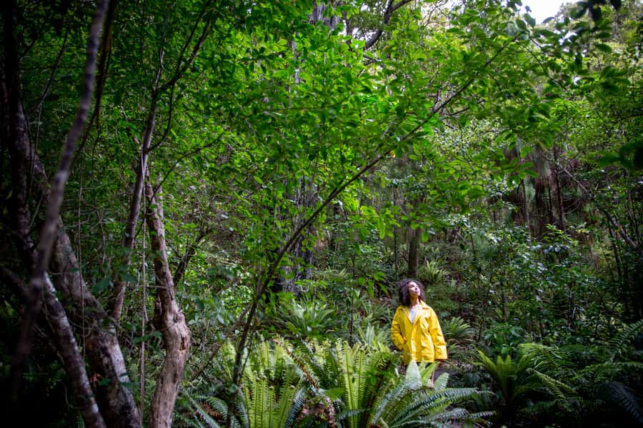 Stewart Island: Ulva Island Guided Wilderness Walk & Cruise - Birdwatching without false promises