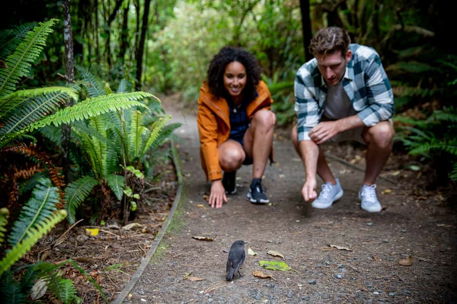 Stewart Island: Ulva Island Guided Wilderness Walk & Cruise - The guides are a major part of the value