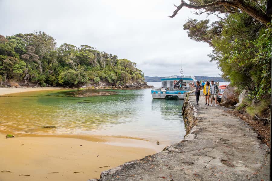 Stewart Island: Ulva Island Guided Wilderness Walk & Cruise - Maori history, settlement, and the inlet’s stories