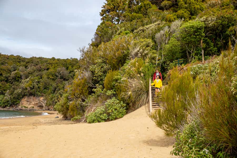 Stewart Island: Ulva Island Guided Wilderness Walk & Cruise - How much value do you get for $86?