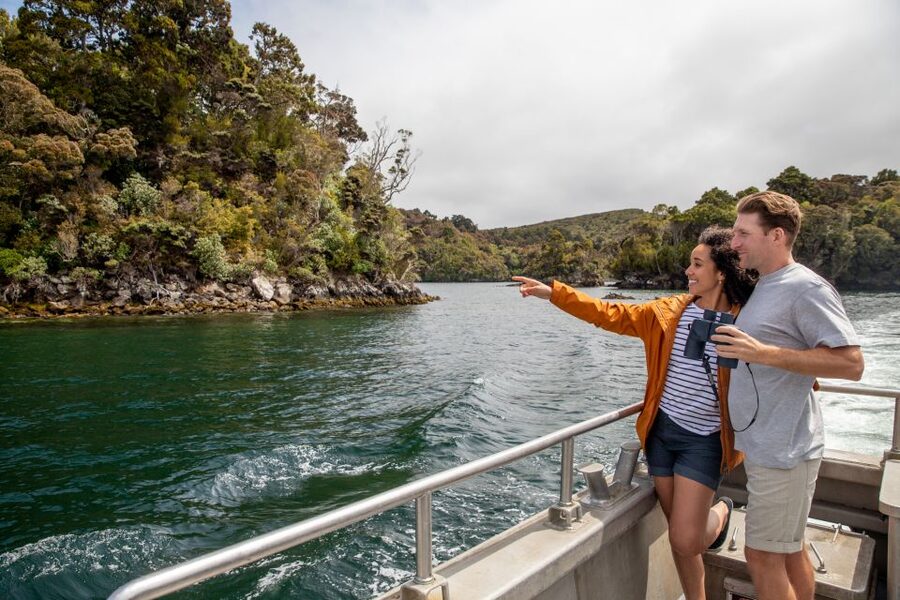 Stewart Island: Ulva Island Guided Wilderness Walk & Cruise - What to wear and bring