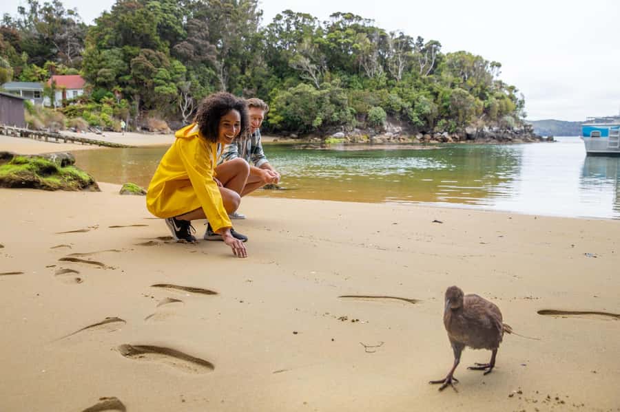 Stewart Island: Ulva Island Guided Wilderness Walk & Cruise - From Main Wharf into Paterson Inlet