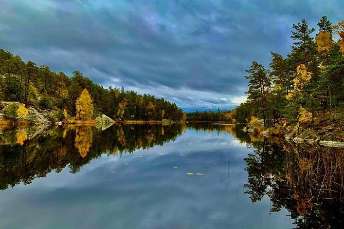 Stockholm: Nature Reserve Hiking Tour with Campfire Lunch - Lunch by the fire, plus a Swedish fika break