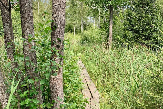 Stockholm: Nature Reserve Hiking Tour with Campfire Lunch - What the $138 price really covers