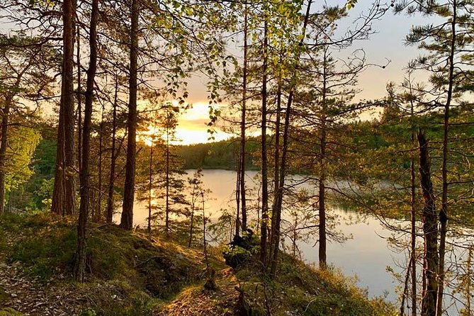 Stockholm: Sunset Hike in Tyresta National Park with Meal - What makes this evening hike worth your time