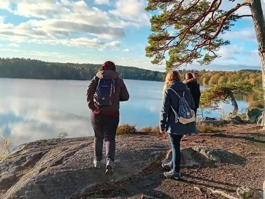 Stockholm: Sunset Hike in Tyresta National Park with Meal - Who should book this Tyresta outing?
