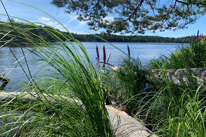 Stockholm: Sunset Hike in Tyresta National Park with Meal - From Gullmarsplan to the Tyresta forest