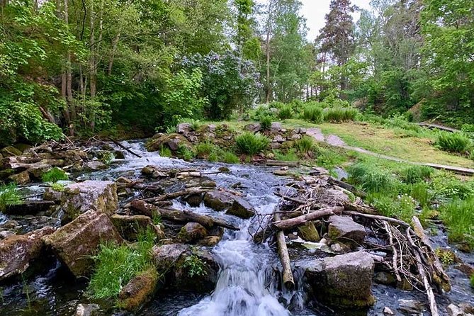 Stockholm: Sunset Hike in Tyresta National Park with Meal - Watching for moose, deer, and beavers
