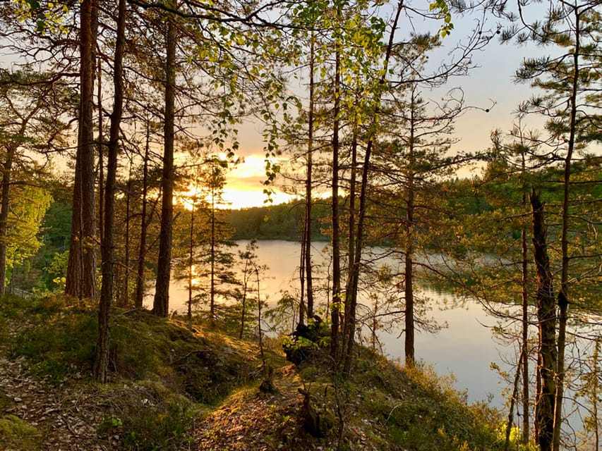 Stockholm: Sunset Hike in Tyresta National Park with Meal - The guide makes the difference