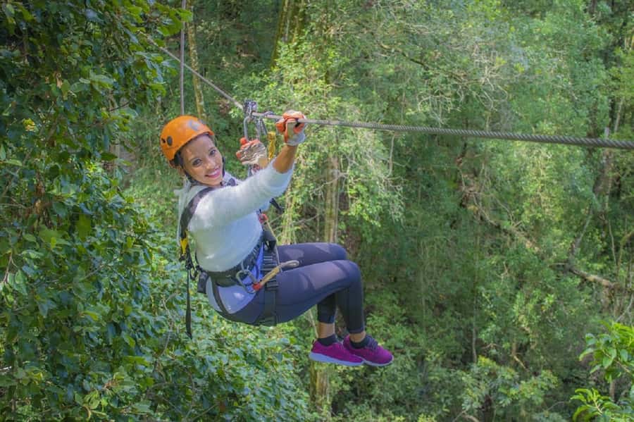 Storms River: Tsitsikamma National Park Zipline Canopy Tour - Key points at a glance