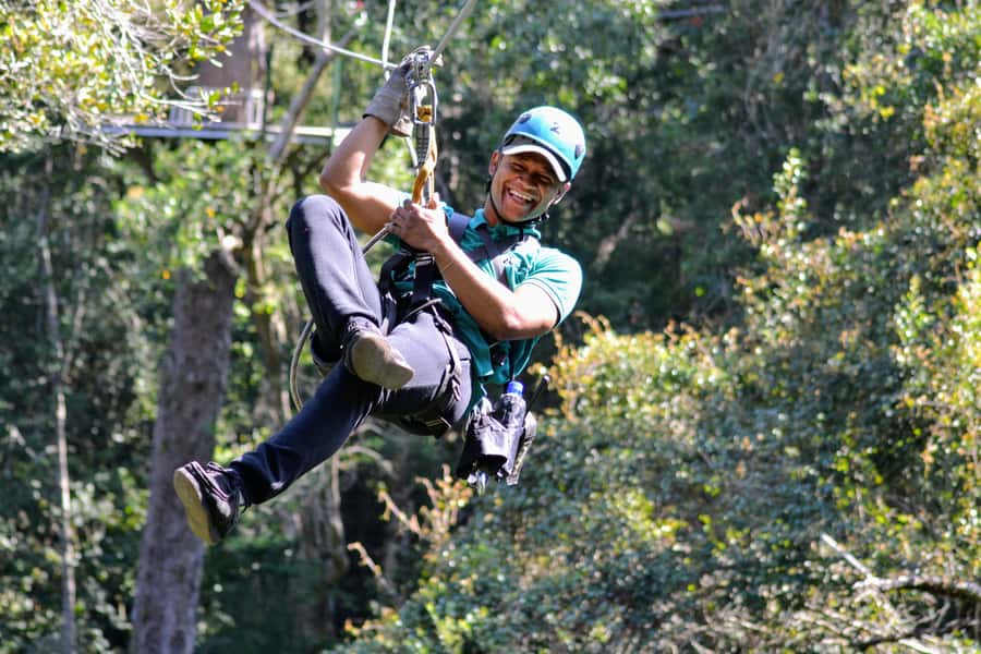 Storms River: Tsitsikamma National Park Zipline Canopy Tour - Why the Tsitsikamma canopy is the real attraction