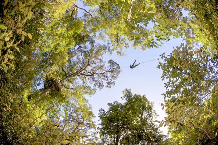 Storms River: Tsitsikamma National Park Zipline Canopy Tour - Handling a fear of heights