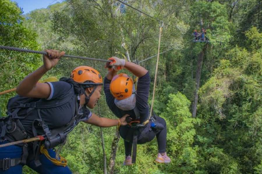 Storms River: Tsitsikamma National Park Zipline Canopy Tour - Is $55 a fair price?