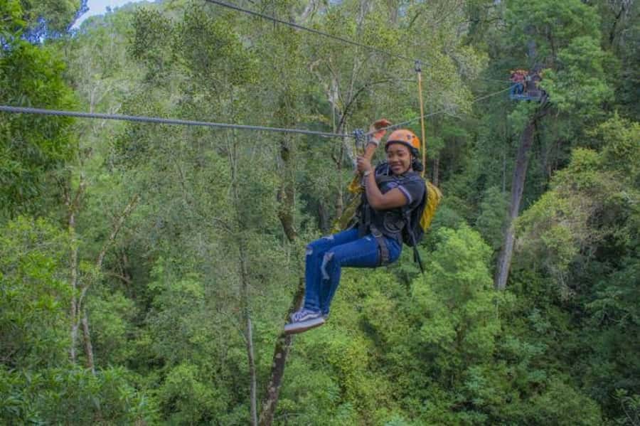Storms River: Tsitsikamma National Park Zipline Canopy Tour - Who will enjoy this most?