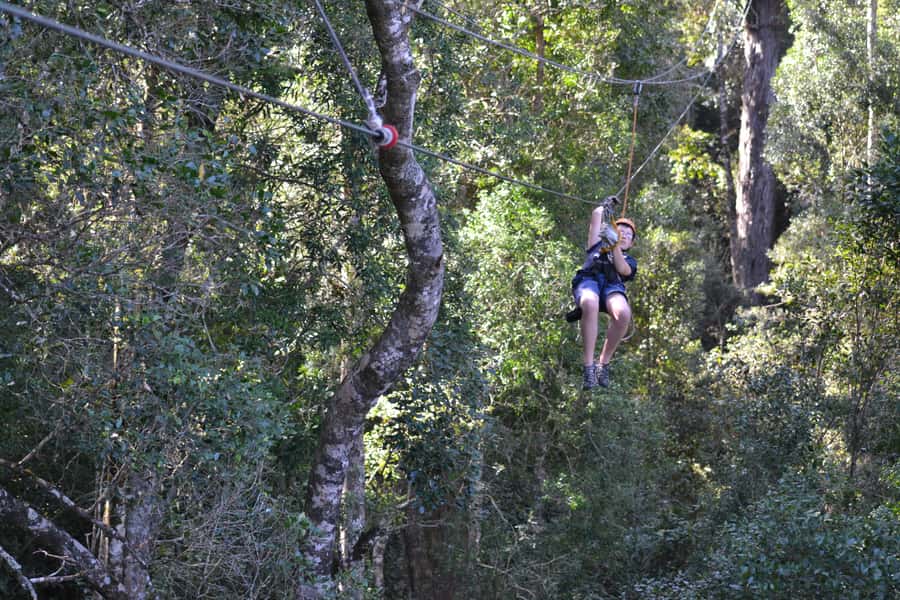 Storms River: Tsitsikamma National Park Zipline Canopy Tour - Practical booking advice