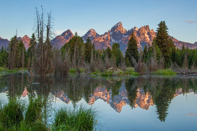 Sunrise 4-Hour Grand Teton Wildlife Adventure - Key points to know before booking