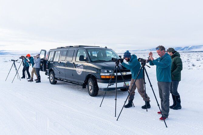Sunrise 4-Hour Grand Teton Wildlife Adventure - The mountain views are part of the tour