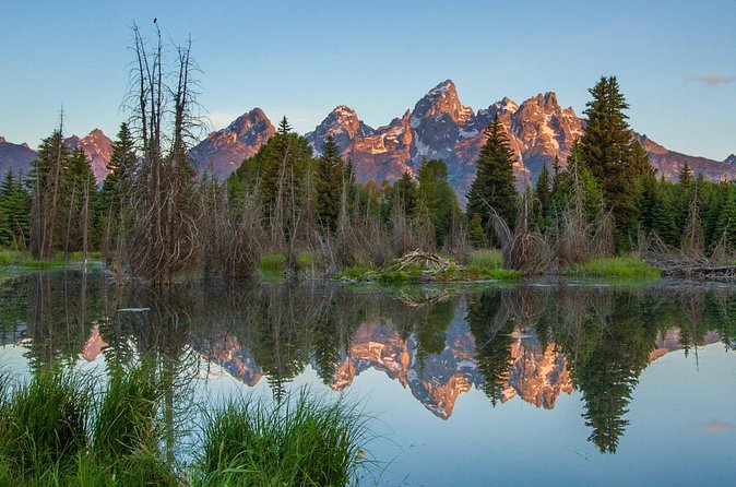 Sunrise 4-Hour Grand Teton Wildlife Adventure - Guides who make the difference