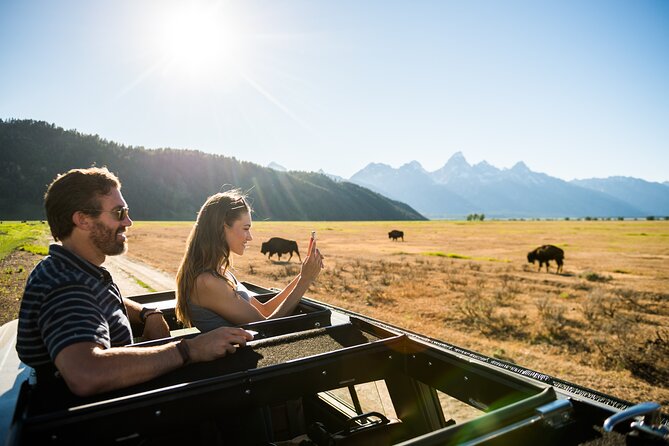 Sunset 4-Hour Grand Teton Wildlife Adventure - How the wildlife search unfolds