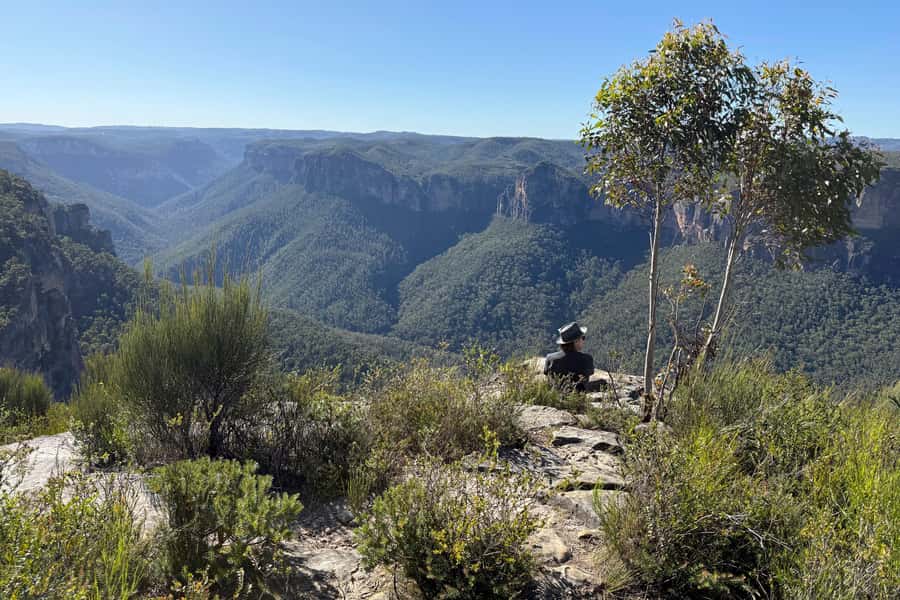 Sydney: Blue Mountains Kangaroos, Wilderness and Sunset Tour - Formed trails, rainforest, and the real physical effort