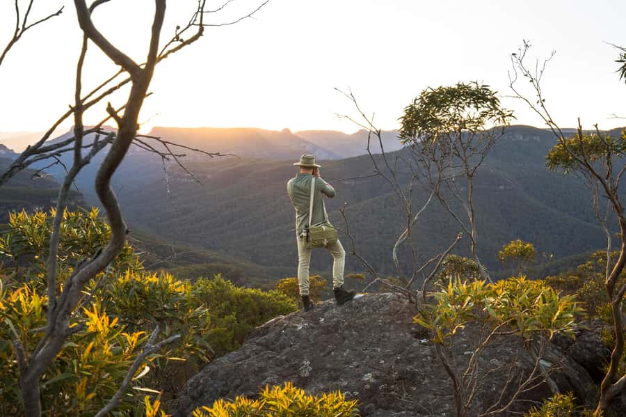 Sydney: Blue Mountains Kangaroos, Wilderness and Sunset Tour - Finding kangaroos after the crowds fade