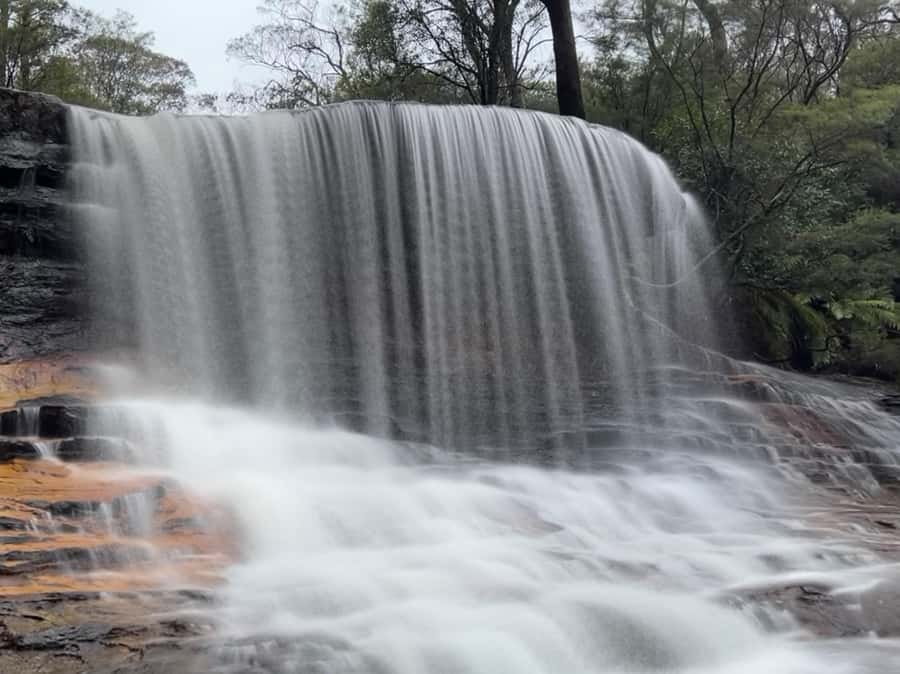 Sydney: Blue Mountains National Park Tour with River Cruise - What this Blue Mountains day actually feels like