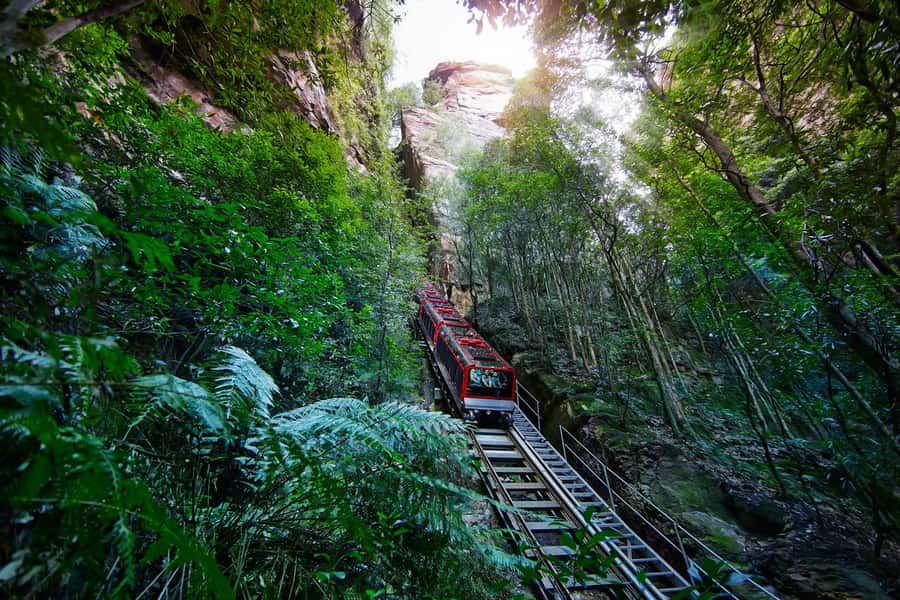 Sydney: Blue Mountains National Park Tour with River Cruise - Leura, the Garden Village lunch stop