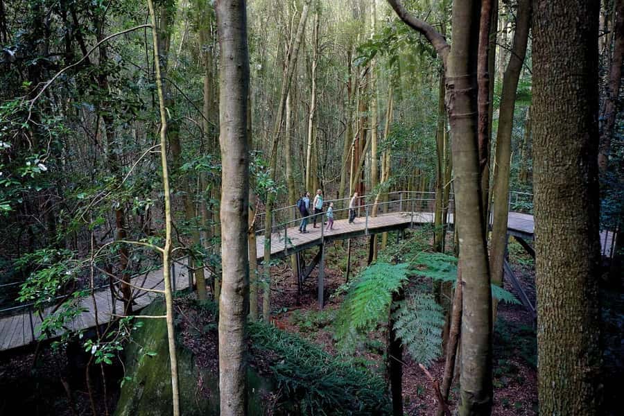 Sydney: Blue Mountains National Park Tour with River Cruise - Cliff Drive and Lincoln’s Rock
