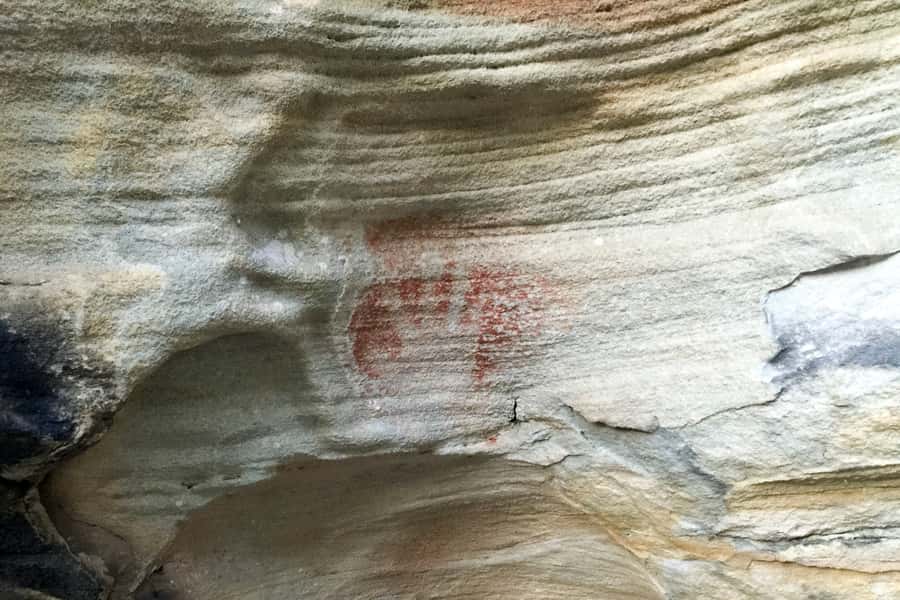 Sydney: Northern Beaches and Ku-ring-gai National Park Tour - Who should book this Northern Beaches day?