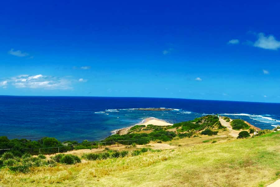 Sydney: Northern Beaches and Ku-ring-gai National Park Tour - FAQ