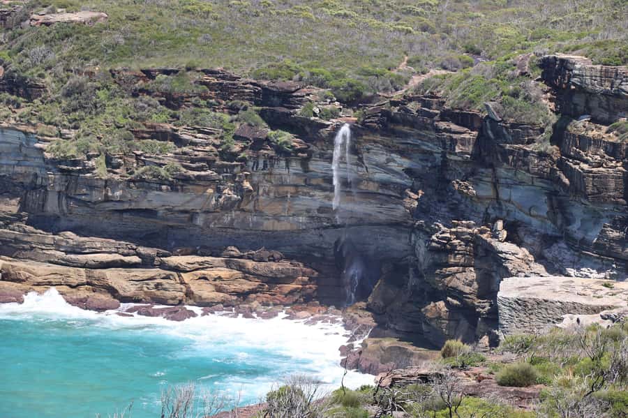 Sydney: Royal National Park private day tour - What Greg adds to the experience