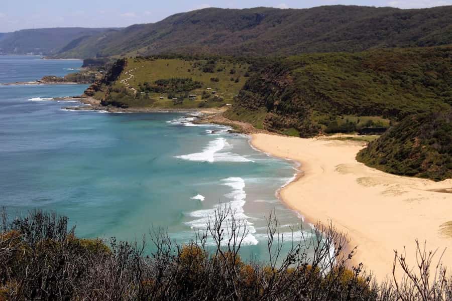 Sydney: Royal National Park private day tour - Providential Point and the park’s coastal heath