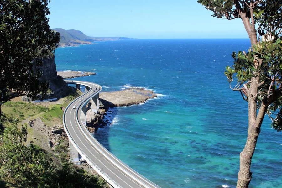 Sydney: Royal National Park private day tour - Lunch keeps the day simple