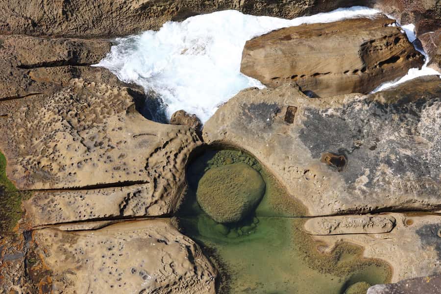 Sydney: Royal National Park private day tour - Bald Hill offers a wide coastal view
