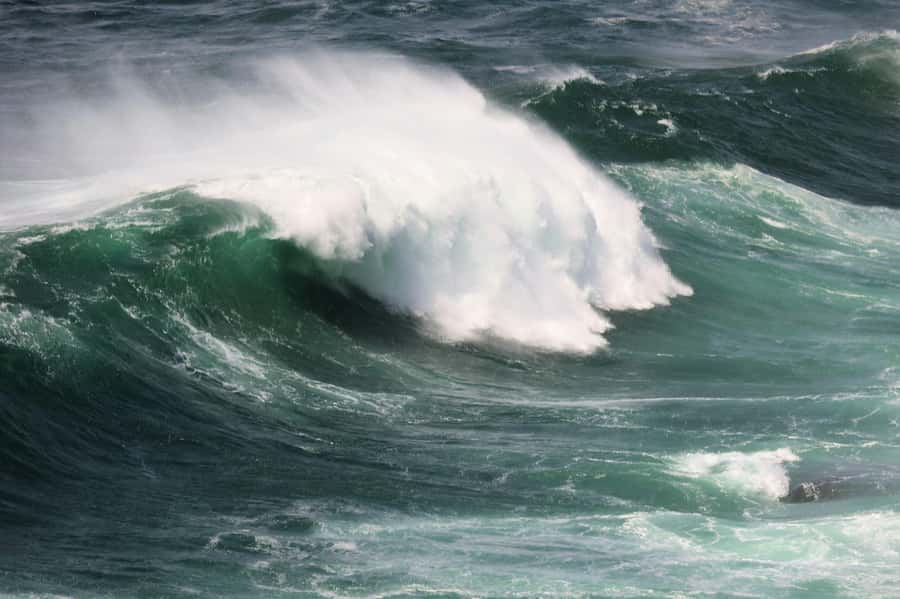 Sydney: Royal National Park private day tour - Sea Cliff Bridge is more than a drive-by photo